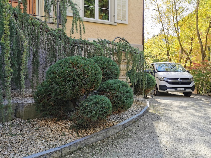 Formgeschnittene Sträucher an einer gepflegten Einfahrt in Zürich