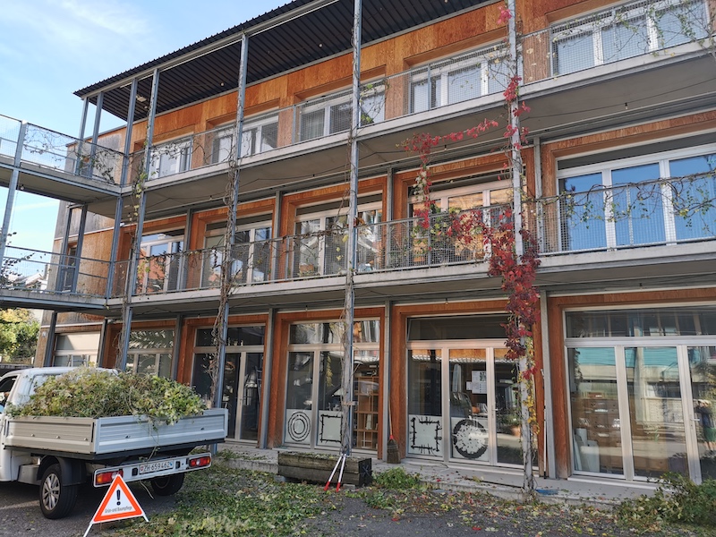 Fassadenbegrünung und Umgebungspflege einer Wohnsiedlung